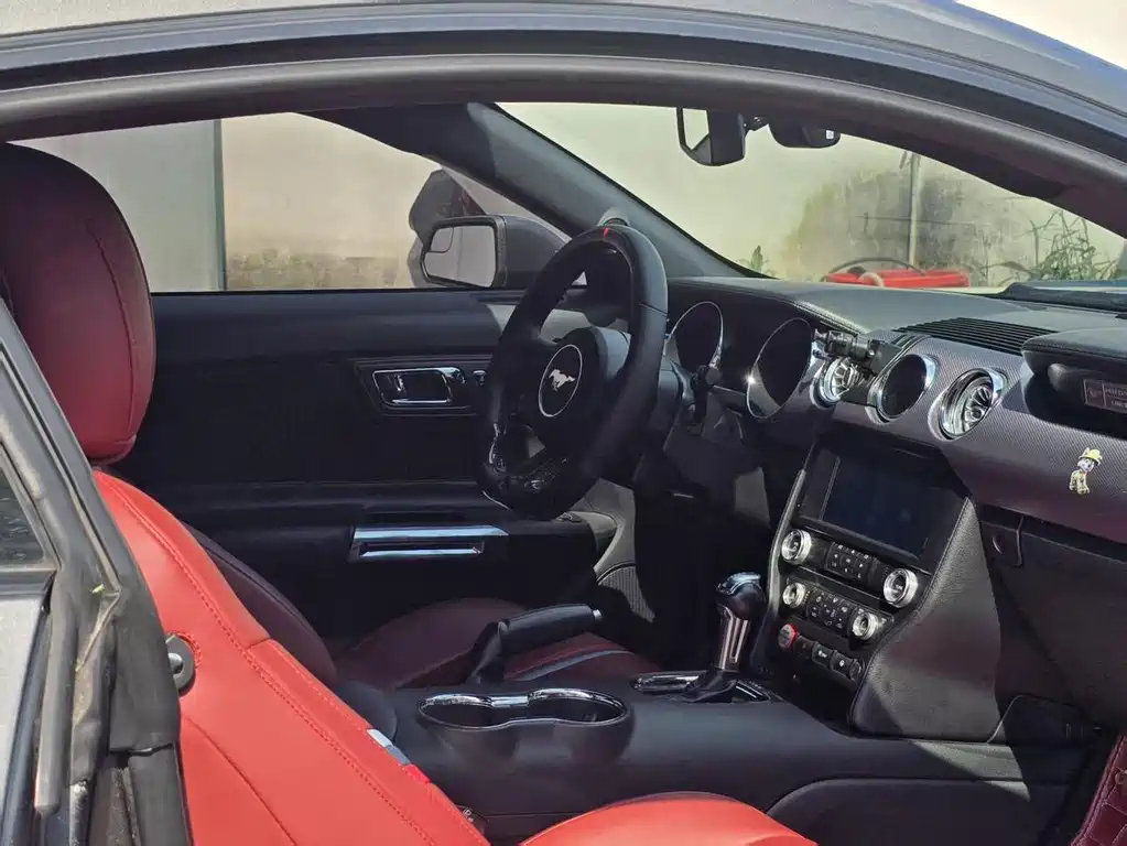 Ford Mustang — миниатюра 14