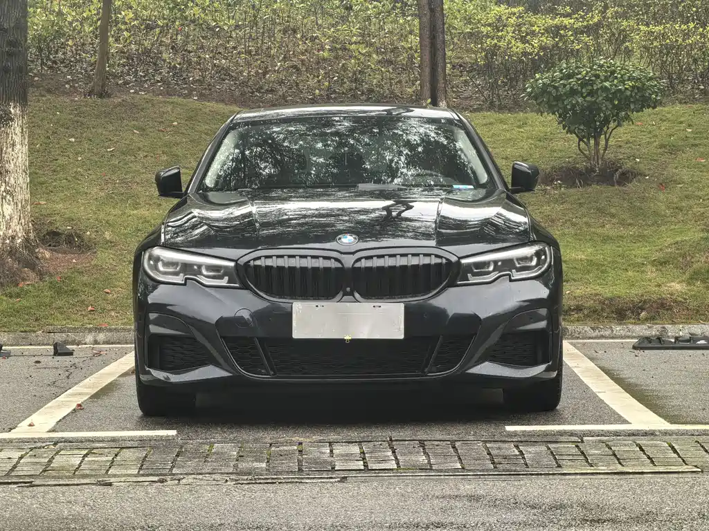 BMW 3 Series — миниатюра 2