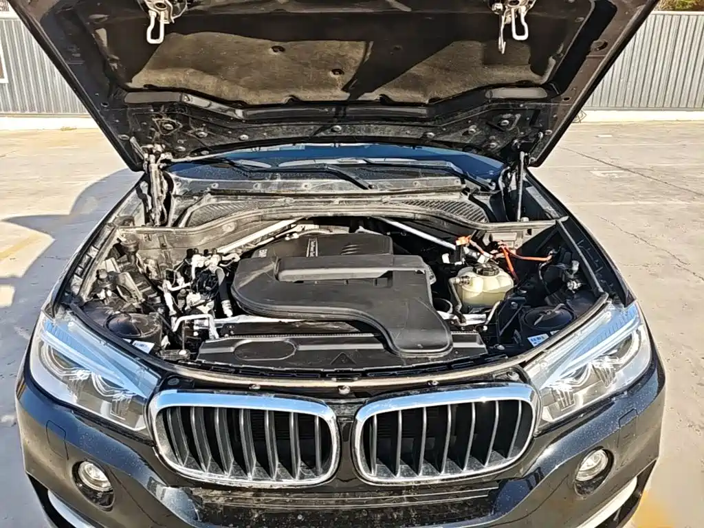 BMW X5 (Import) — миниатюра 20