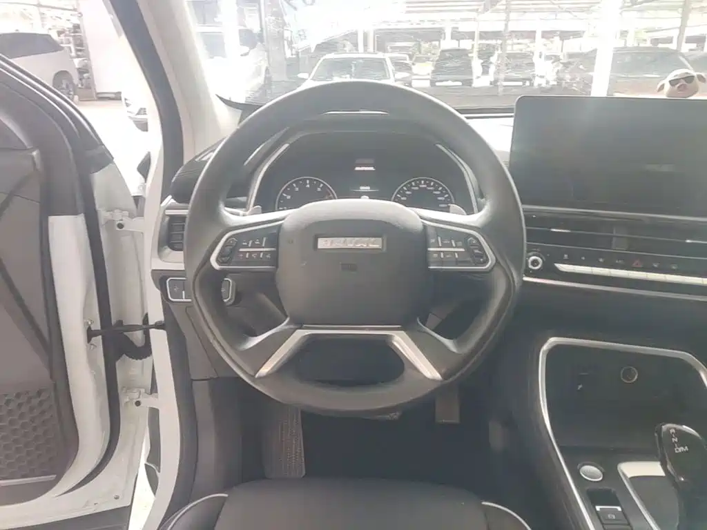 Haval H6 — миниатюра 11