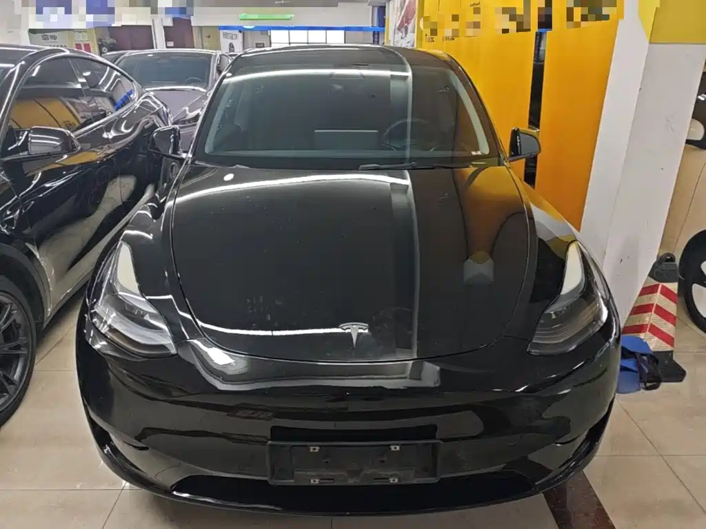 Tesla Model Y — миниатюра 3