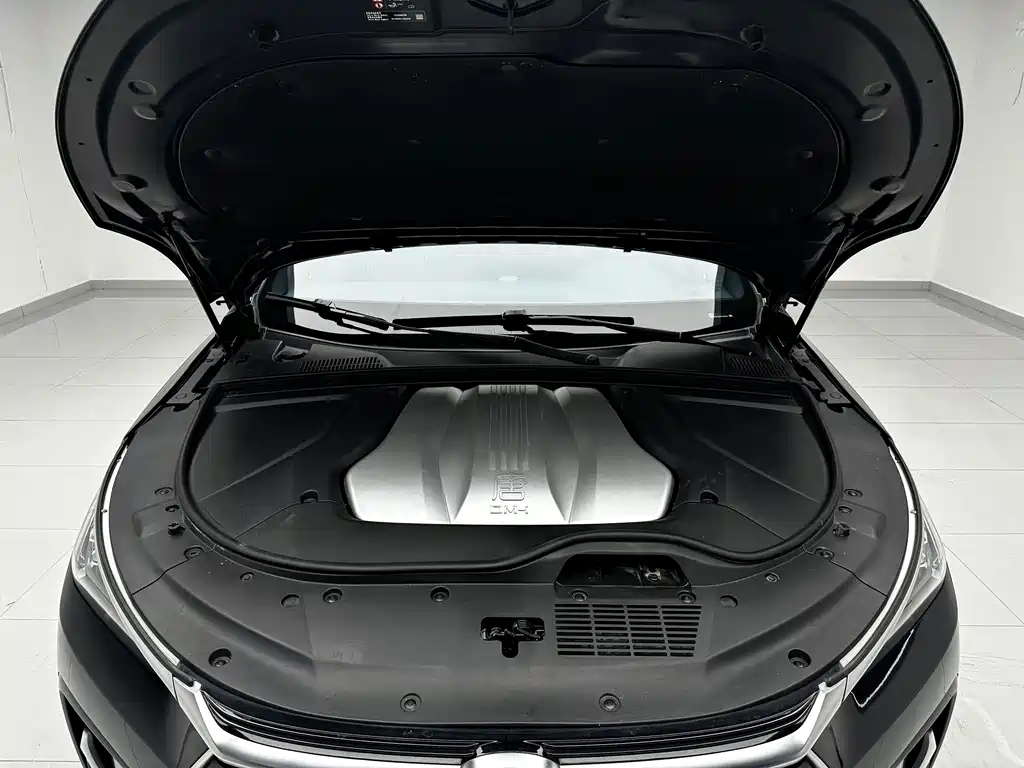 BYD Tang New Energy — миниатюра 11