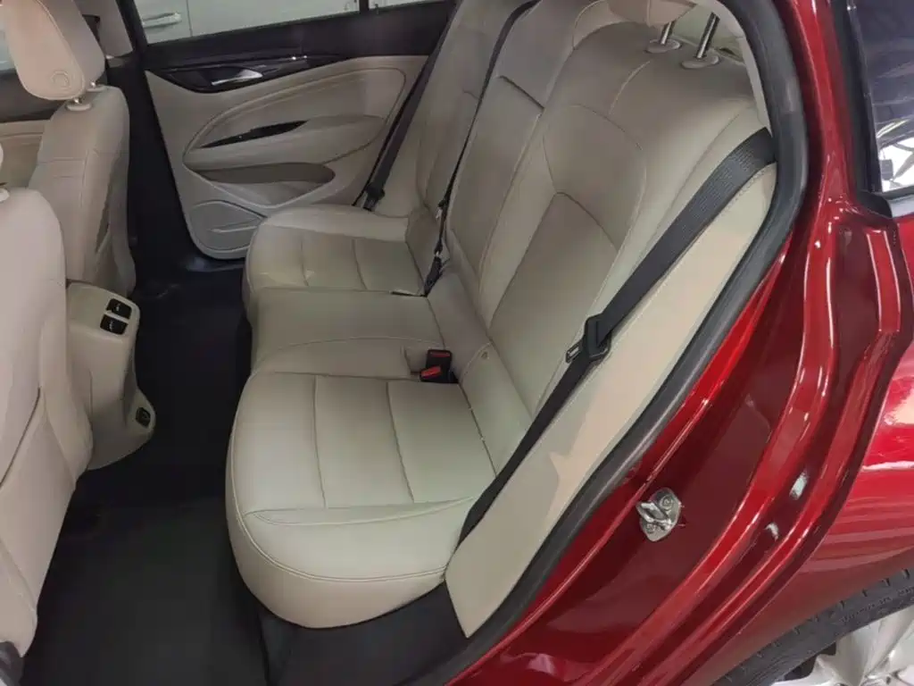 Buick Regal — миниатюра 17