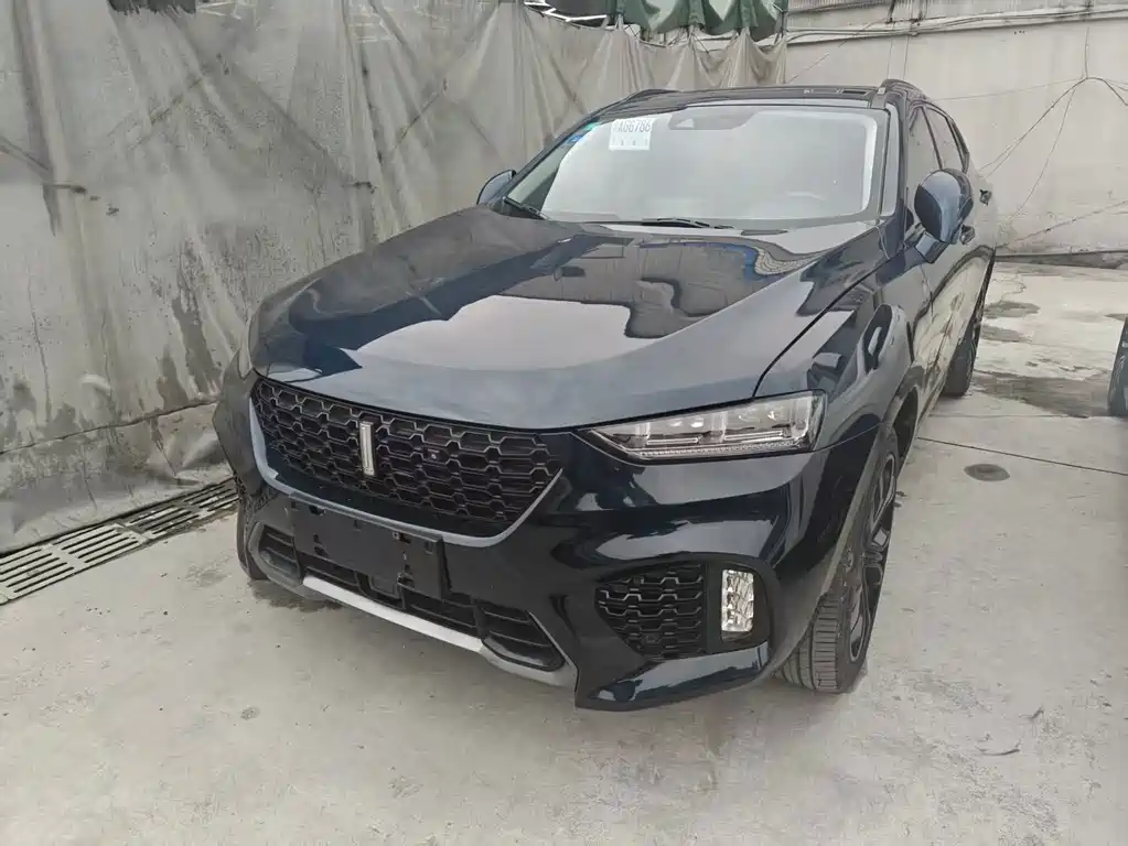 Wey Wey VV7