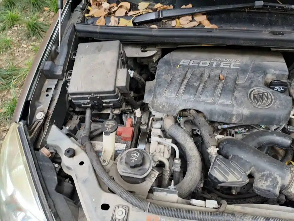 Buick GL8 — миниатюра 19