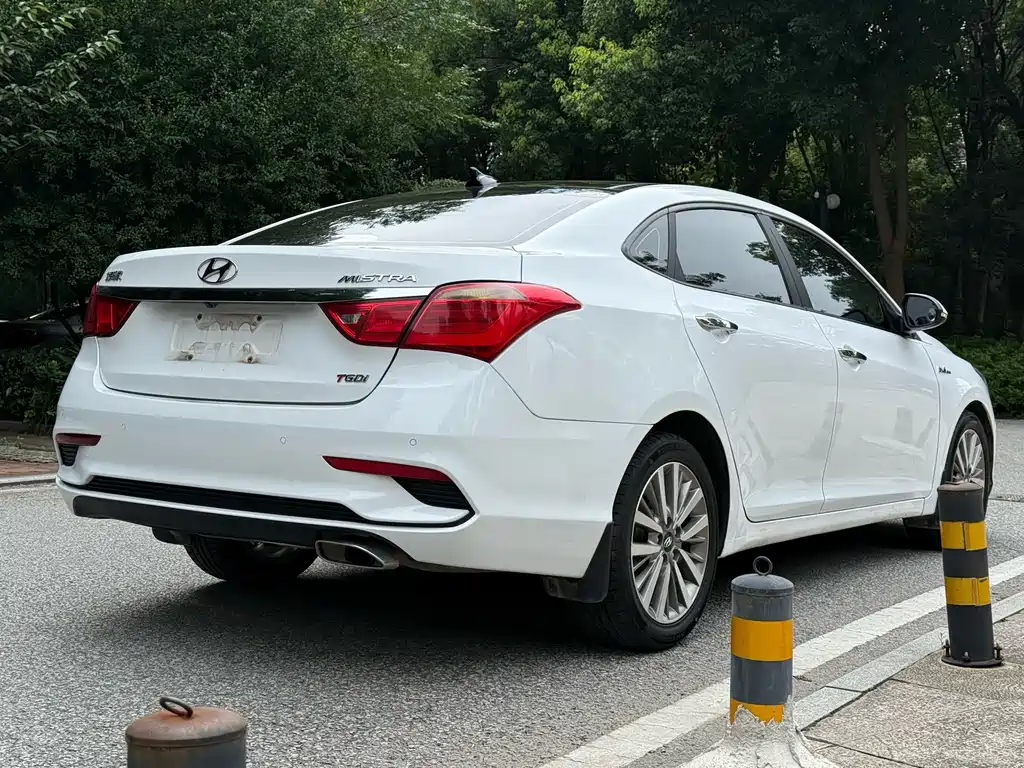 HYUNDAI NAME PICTURE