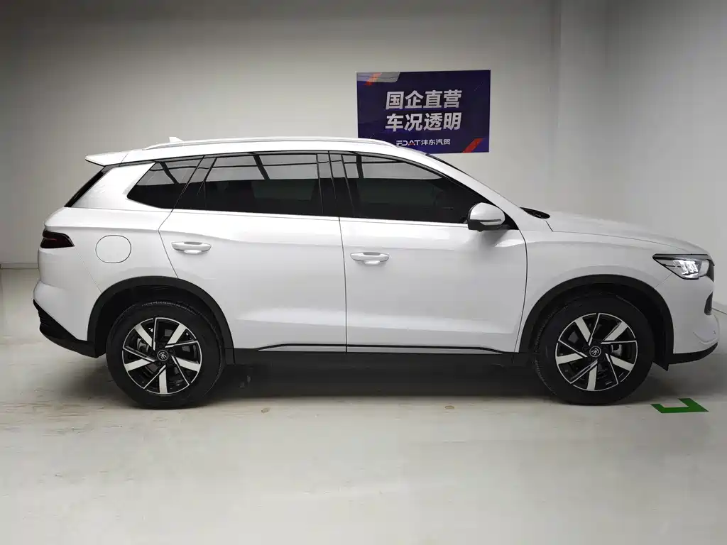 BYD Pro New Energy — миниатюра 7