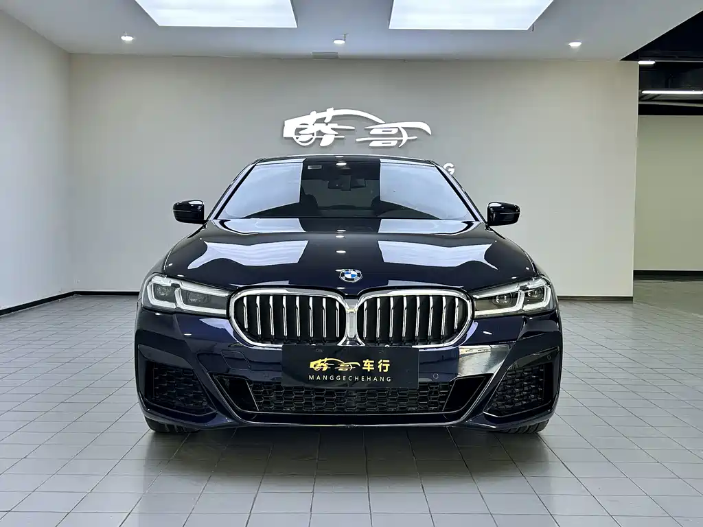 BMW 5 Series — миниатюра 2