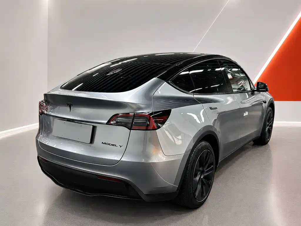 Tesla Model Y — миниатюра 4