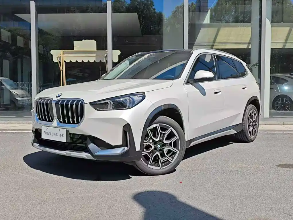 BMW X1 — миниатюра 2