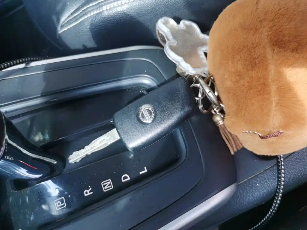 Nissan Sylphy — миниатюра 12
