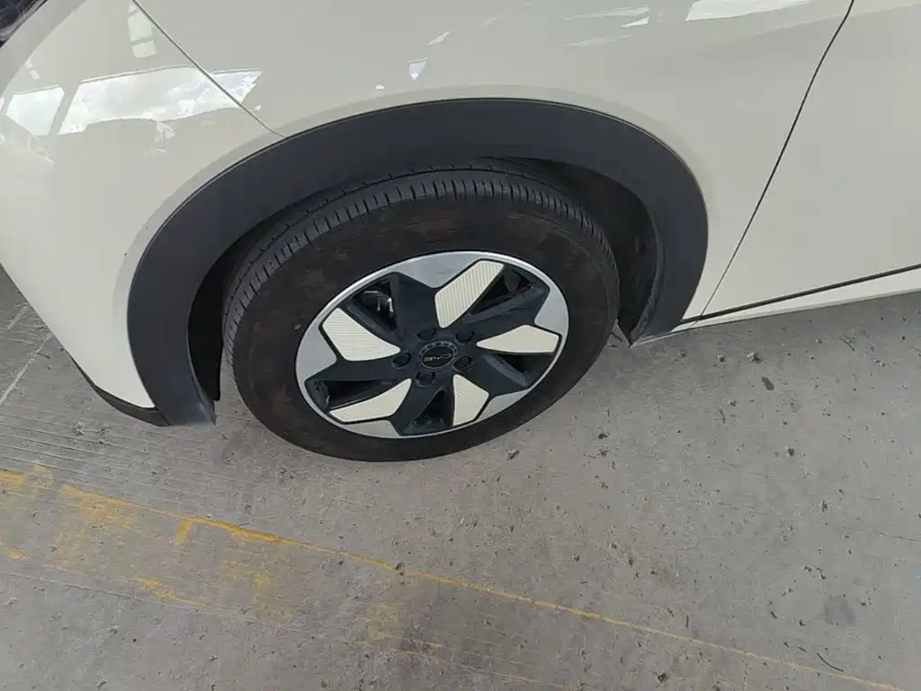 BYD Dolphin — миниатюра 23