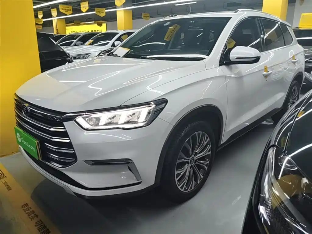 Byd Pro New Energy 2020