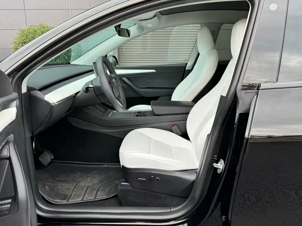 Tesla Model Y — миниатюра 6