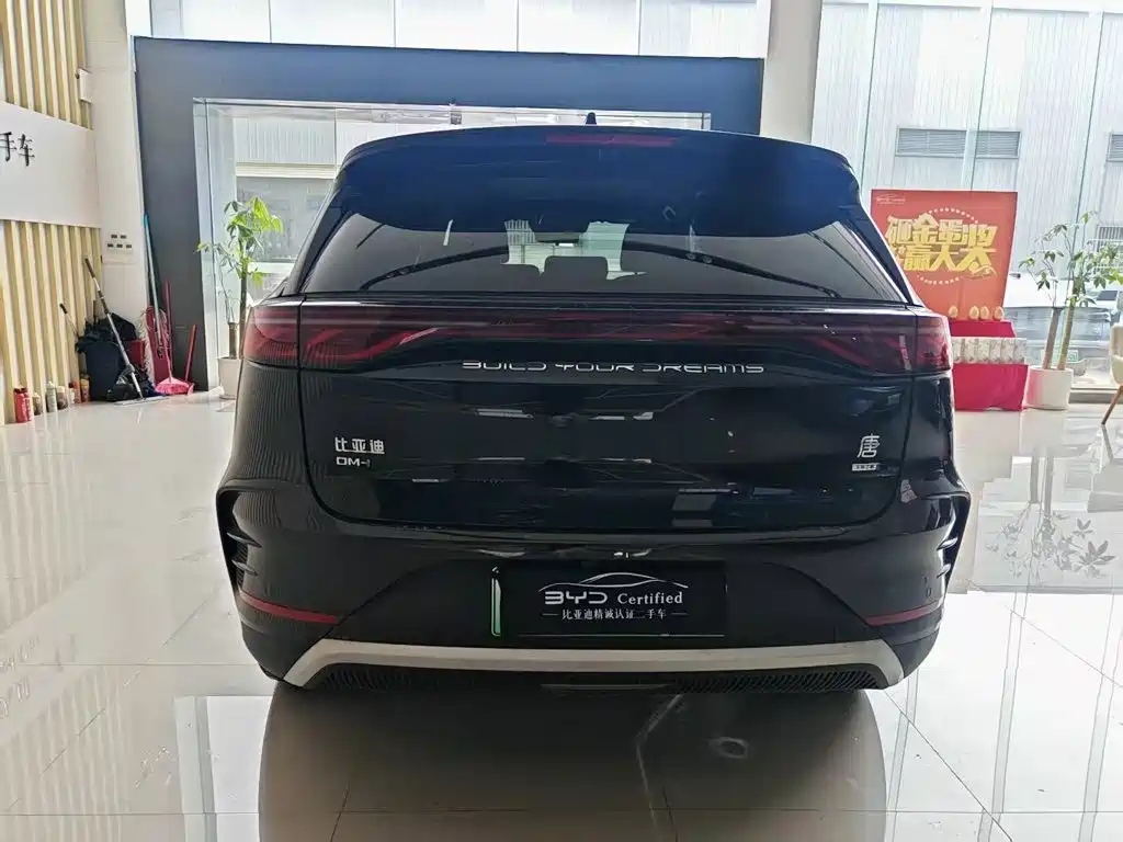 BYD Tang New Energy — миниатюра 6