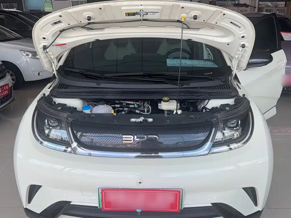 BYD Dolphin — миниатюра 12