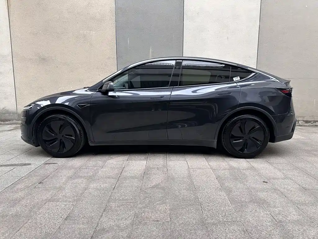 Tesla Model Y — миниатюра 4