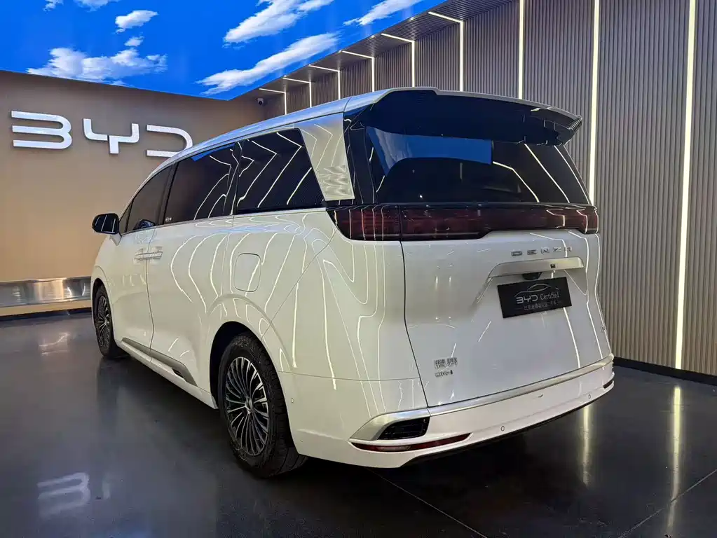 Denza Denza D9 — миниатюра 19