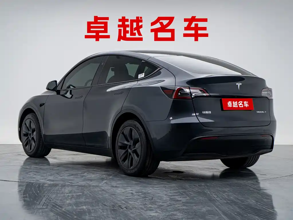 Tesla Model Y — миниатюра 4