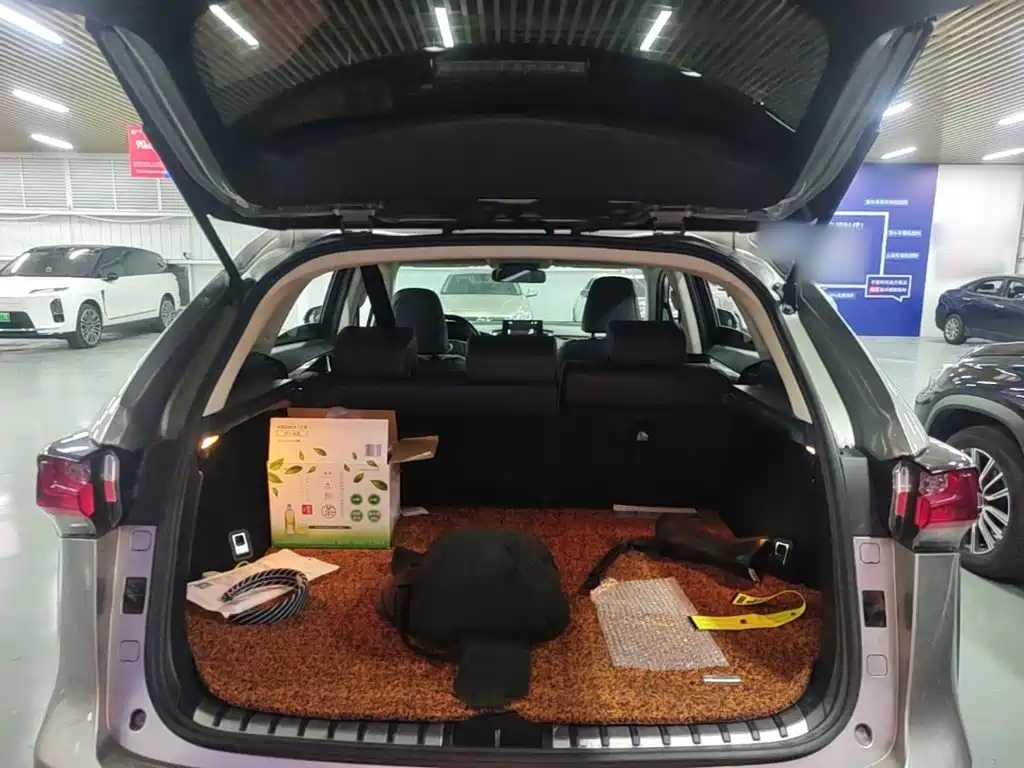 Lexus NX — миниатюра 19
