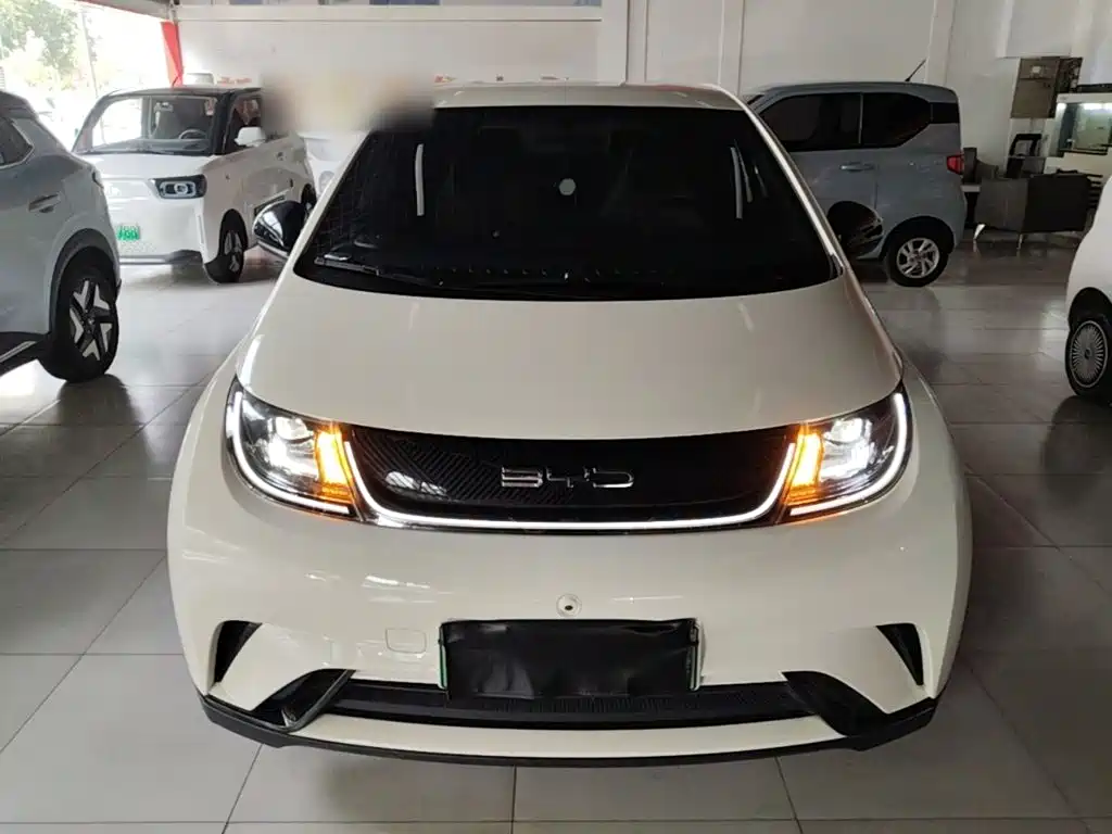 BYD Dolphin — миниатюра 3