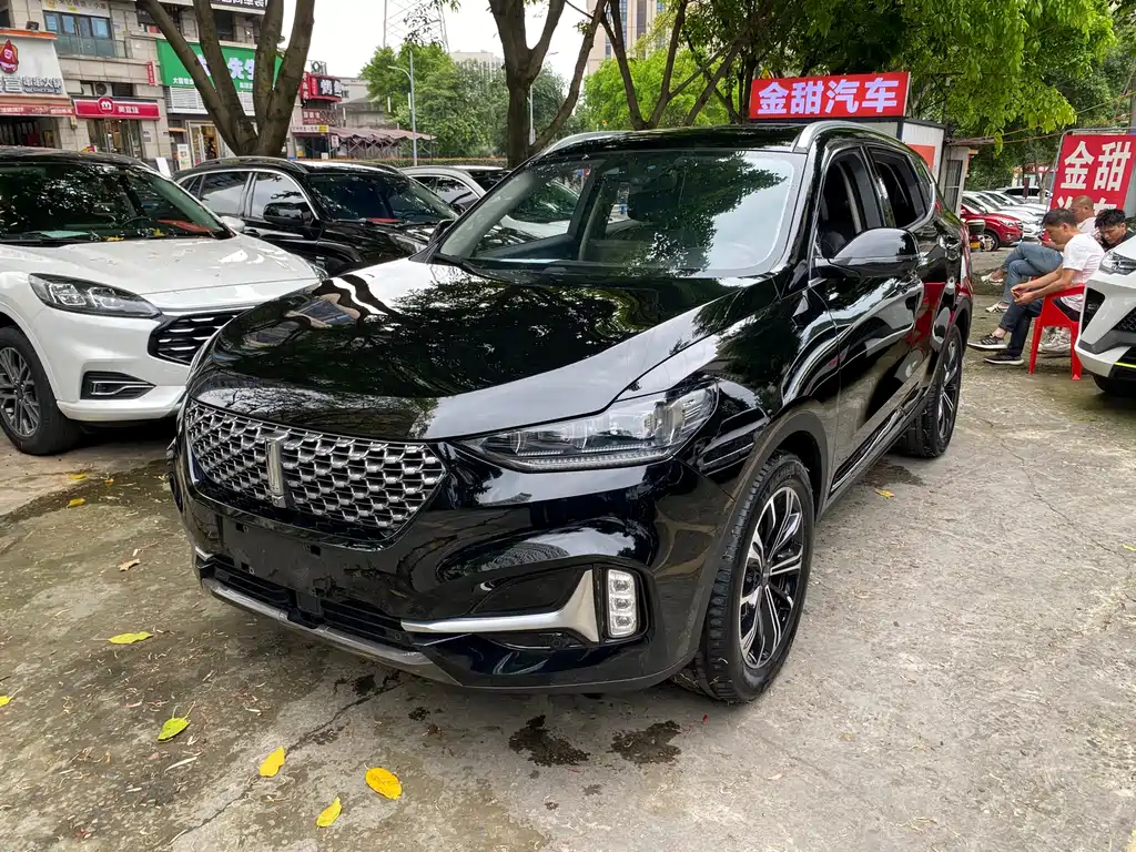 Wey Wey VV6 2021