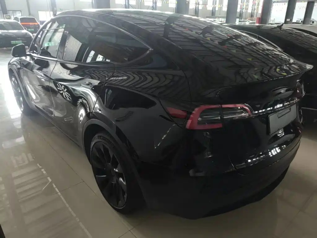 Tesla Model Y — миниатюра 5