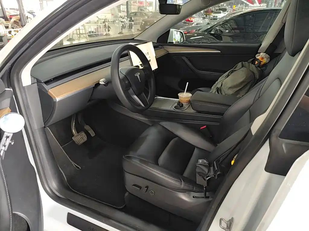 Tesla Model Y — миниатюра 15
