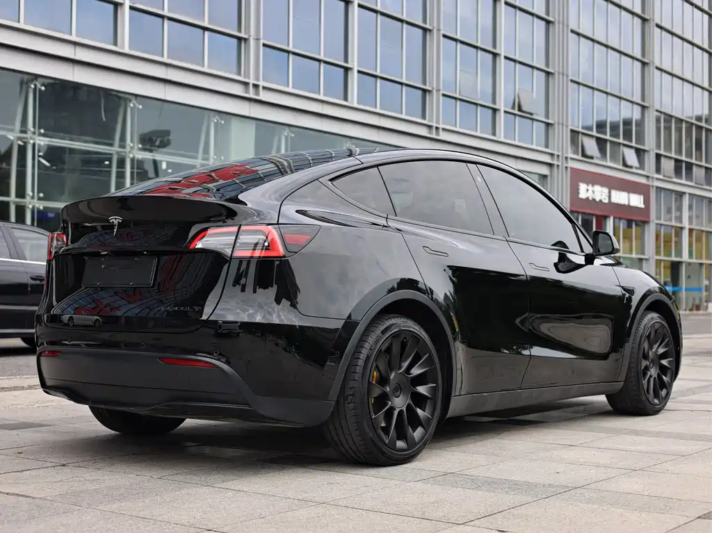 Tesla Model Y — миниатюра 6