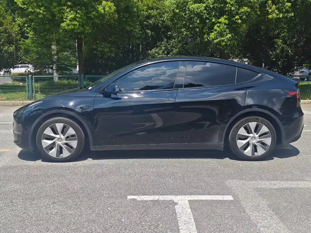 Tesla Model Y — миниатюра 7