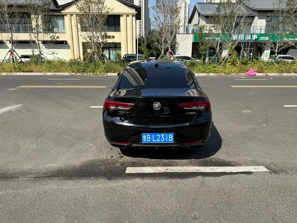 Buick Regal — миниатюра 8