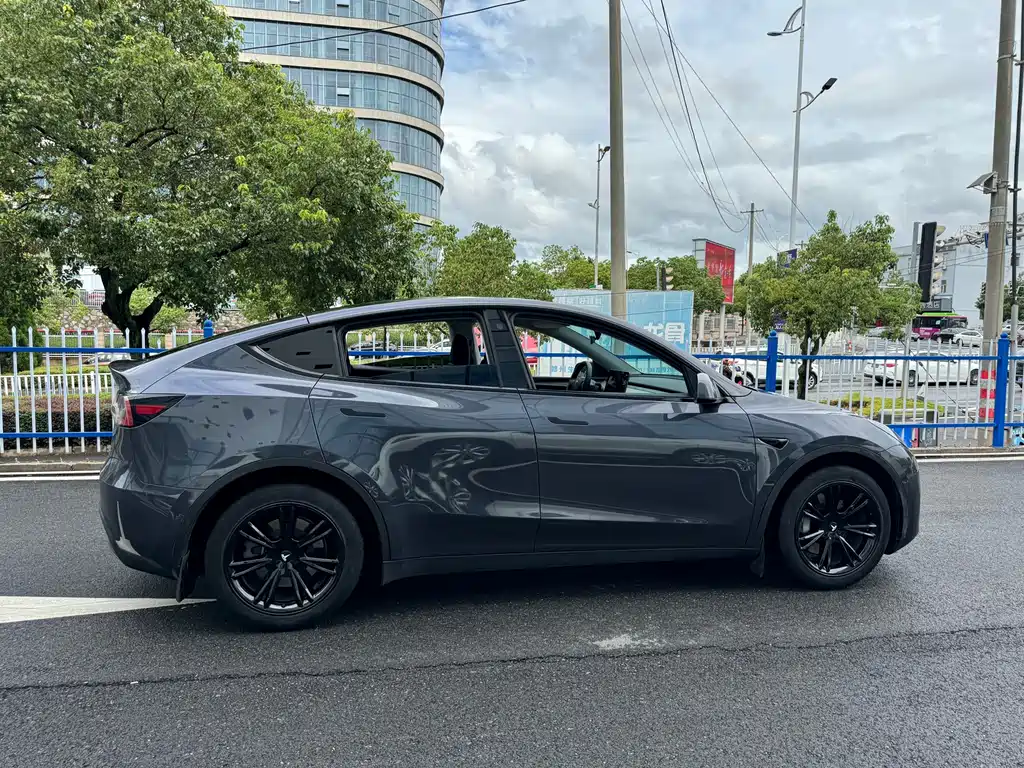 Tesla Model Y — миниатюра 10