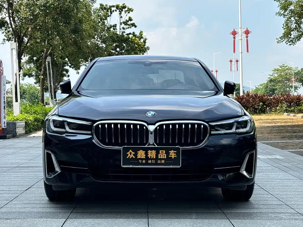 BMW 5 Series — миниатюра 2
