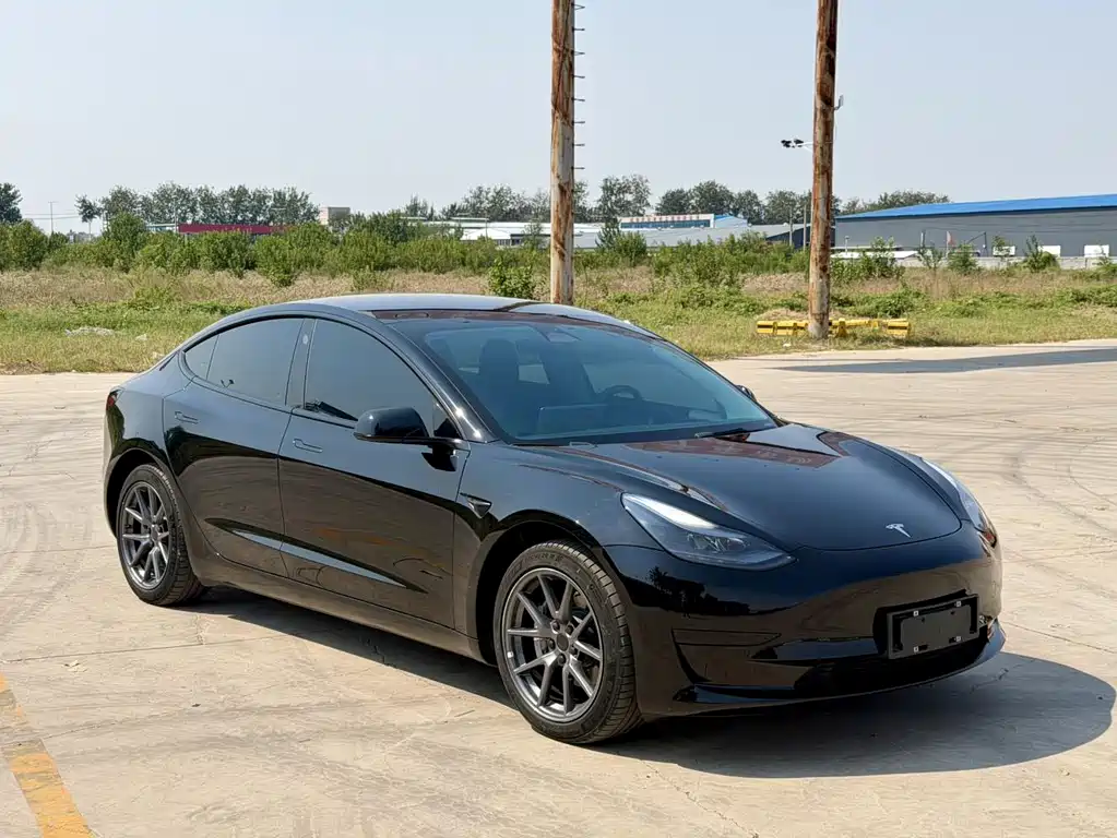 Tesla Model 3 — миниатюра 3