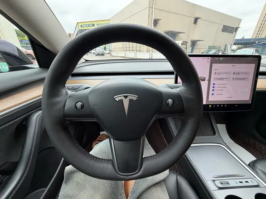 Tesla Model 3 — миниатюра 12