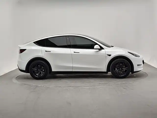 Tesla Model Y — миниатюра 4