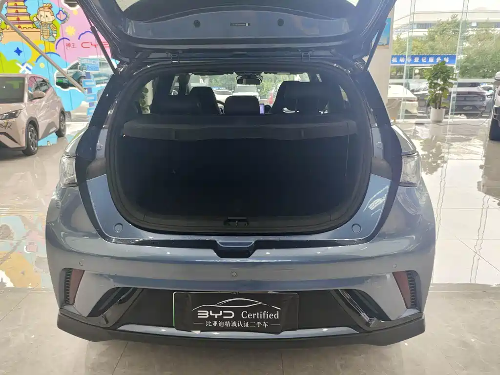 BYD Dolphin — миниатюра 15