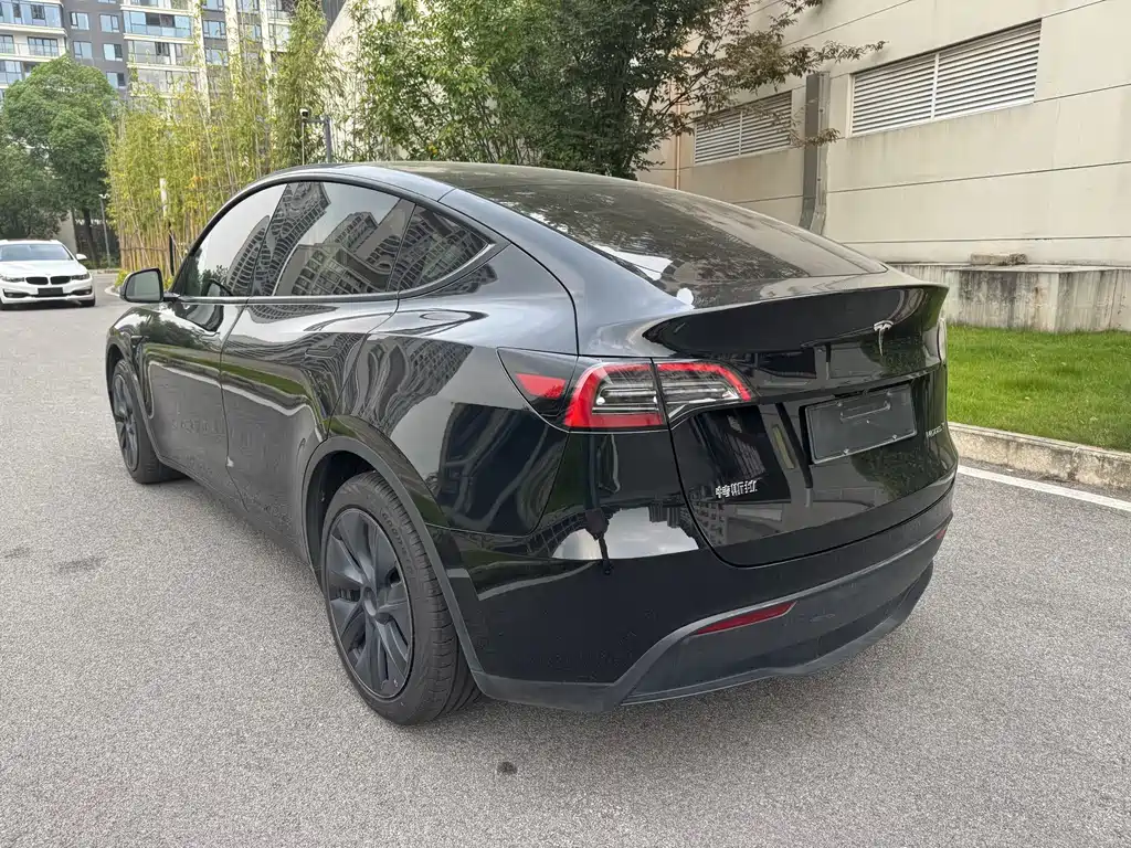 Tesla Model Y — миниатюра 6