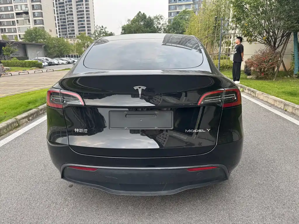 Tesla Model Y — миниатюра 5