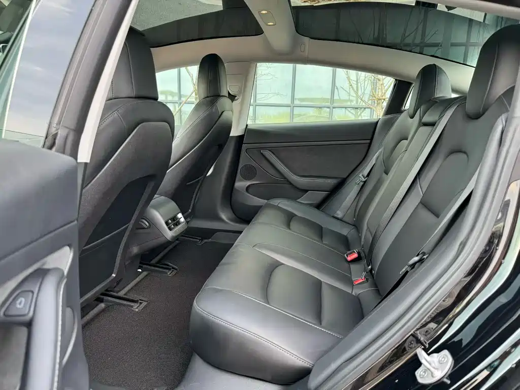Tesla Model 3 — миниатюра 6