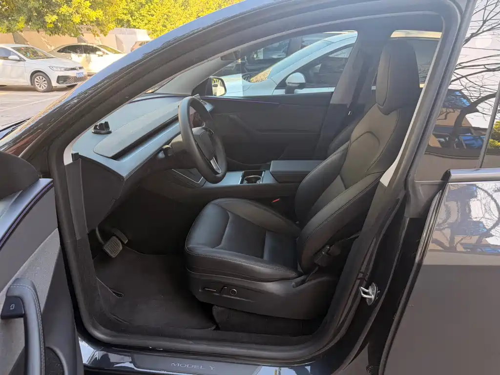 Tesla Model Y — миниатюра 4