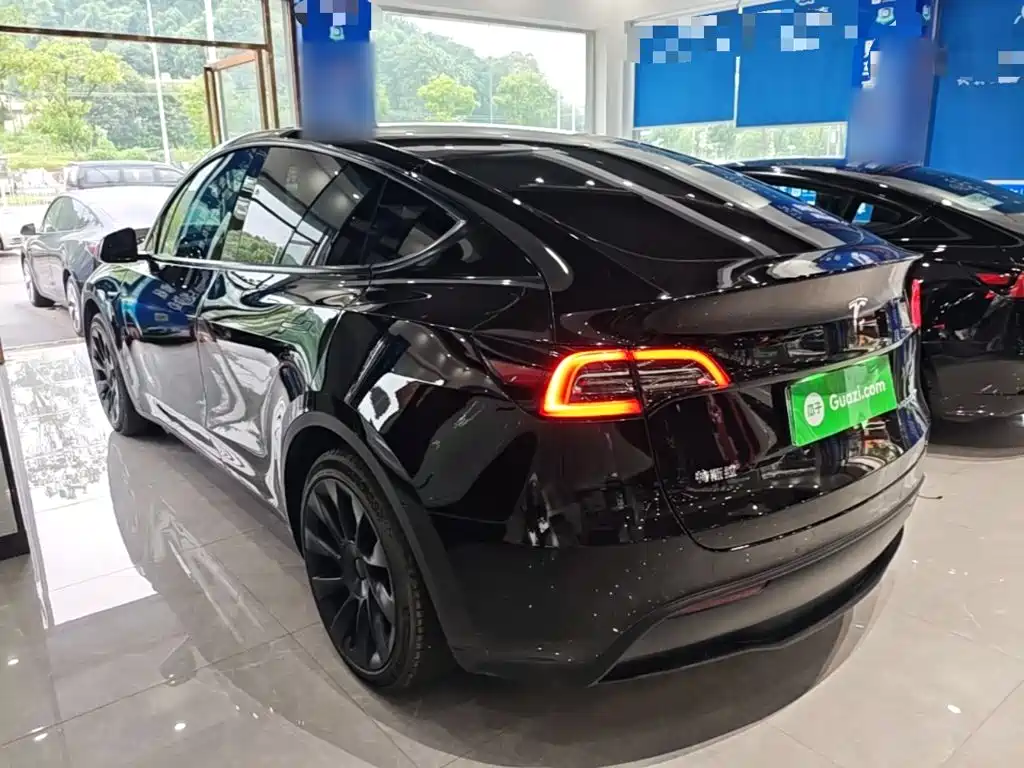 Tesla Model Y — миниатюра 5