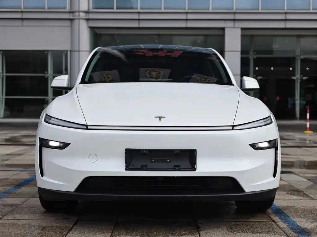 Tesla Model Y — миниатюра 2
