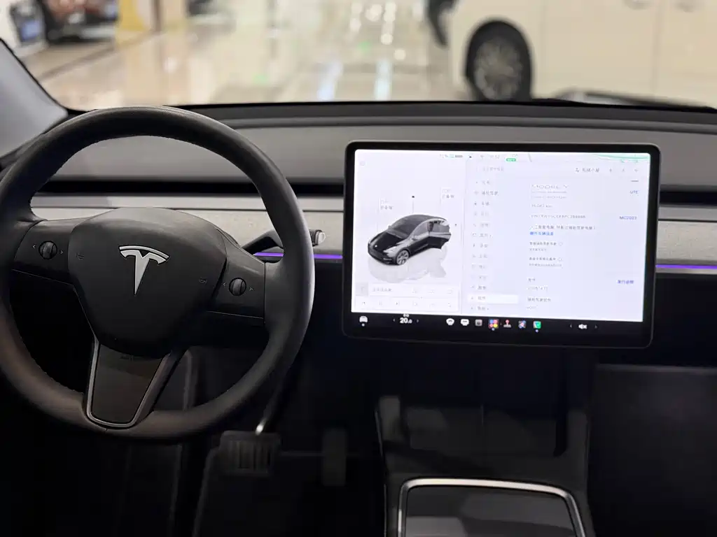 Tesla Model Y — миниатюра 6