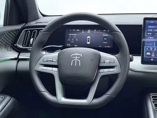 BYD Pro — миниатюра 11