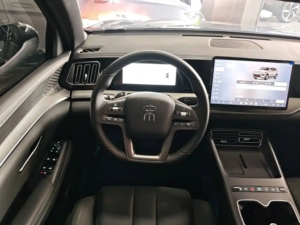 BYD Pro New Energy — миниатюра 11
