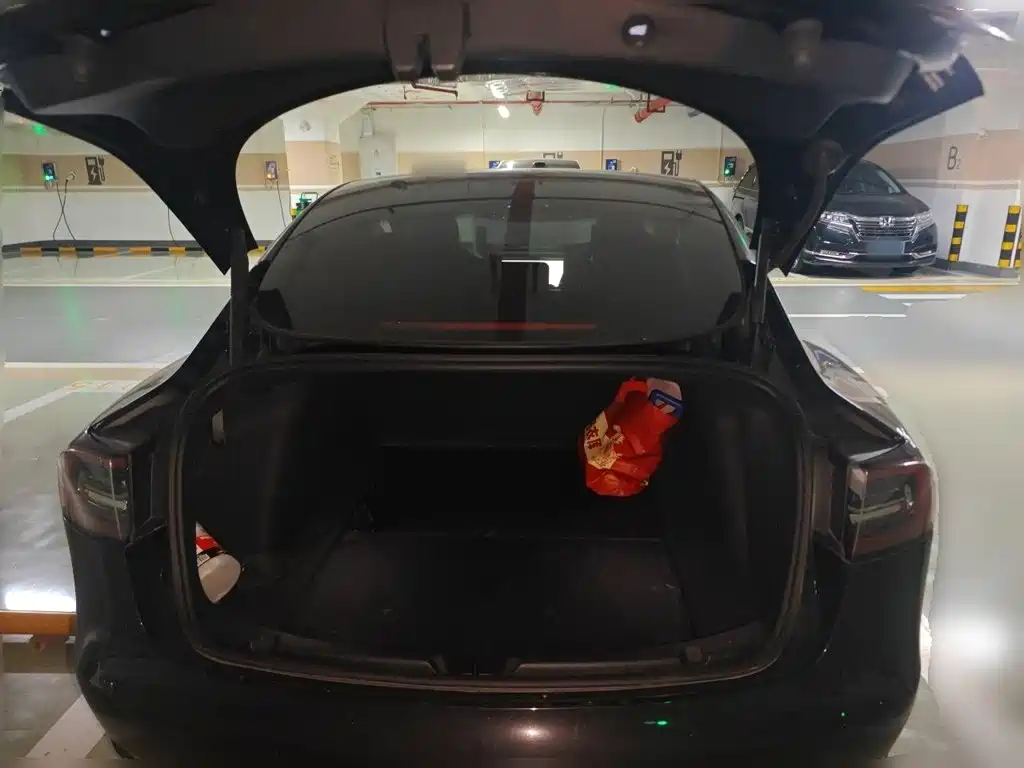 Tesla Model 3 — миниатюра 10
