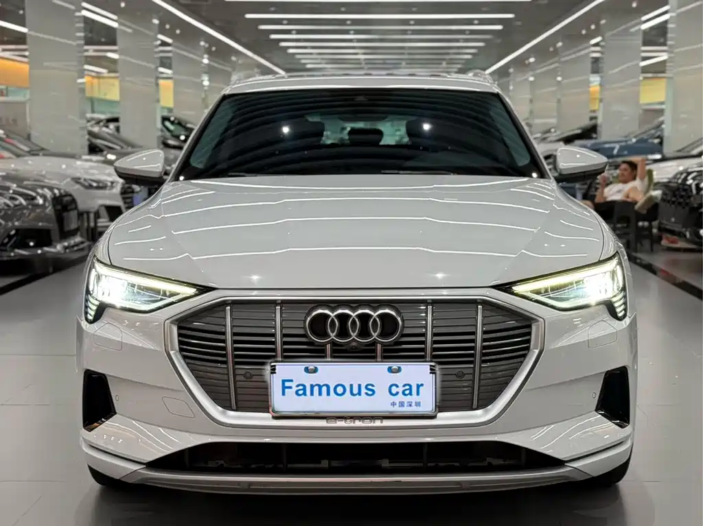 Audi e-tron (Import) — миниатюра 2