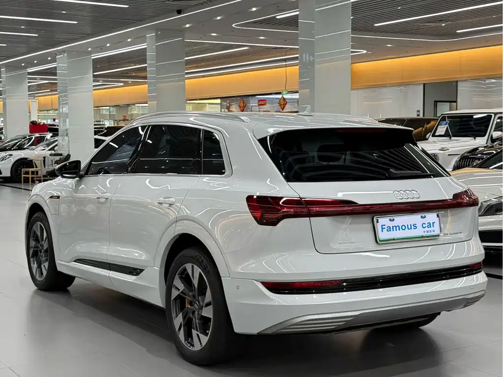 Audi e-tron (Import) — миниатюра 12
