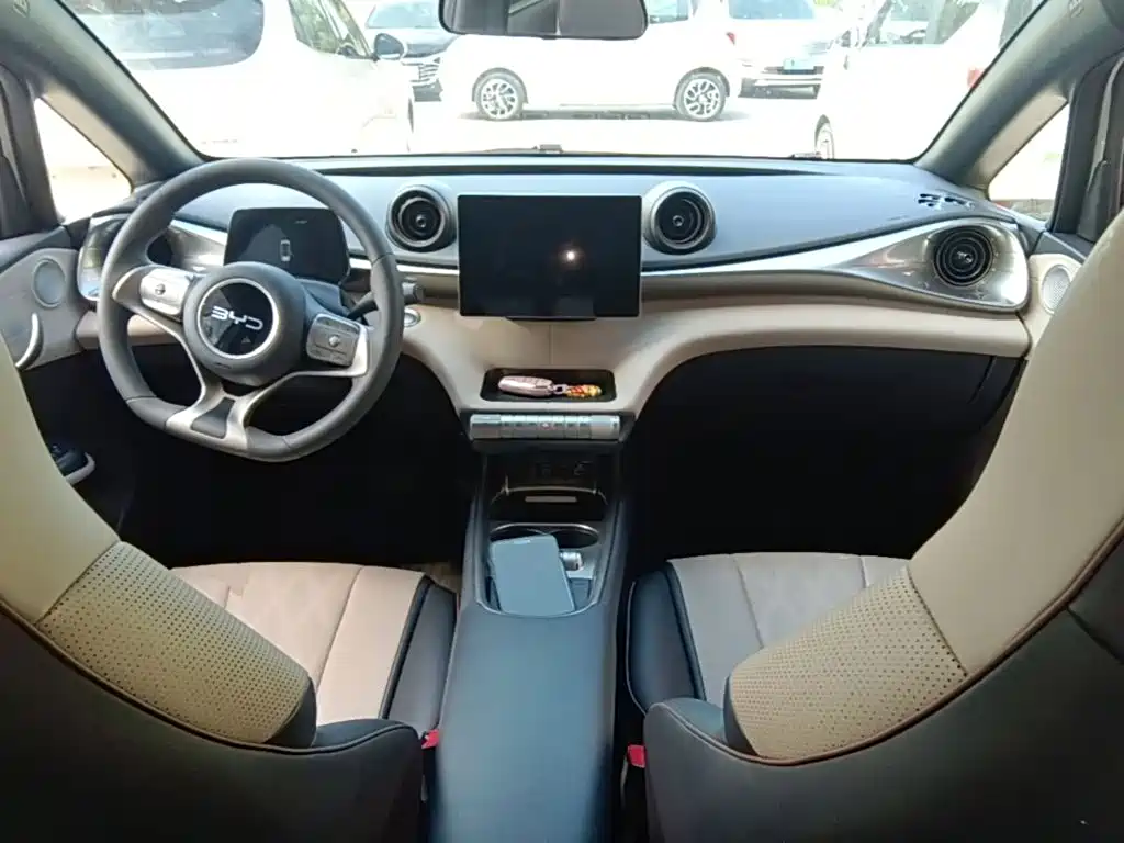 BYD Dolphin — миниатюра 10